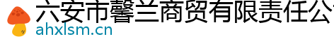 六安市馨兰商贸有限责任公司